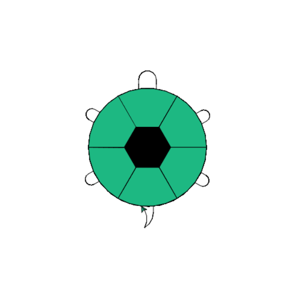 海龟绘图 | python123